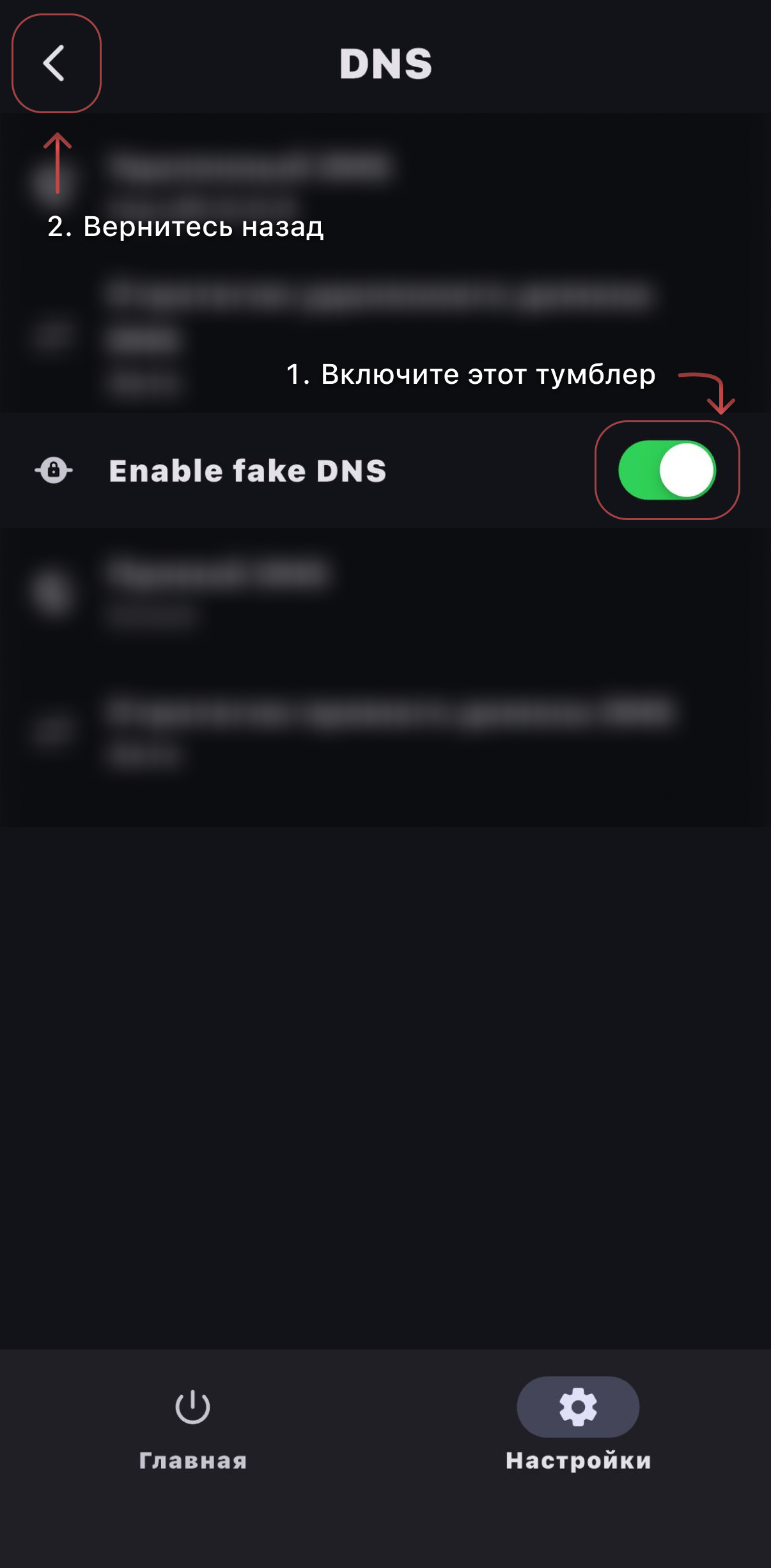 Шаг 9 — включение Fake DNS